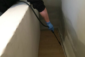 Pest Control Services London Quality Property Care Ltd.