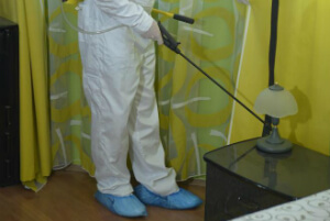 Pest Control Services London Quality Property Care Ltd.