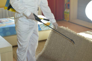 Pest Control Services London Quality Property Care Ltd.