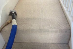 Carpet and Rug Cleaning Services London Quality Property Care Ltd.