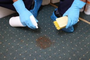 Carpet and Rug Cleaning Services London Quality Property Care Ltd.