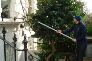 Window Cleaning Services Rocks Lane SW13 Quality Property Care Ltd.